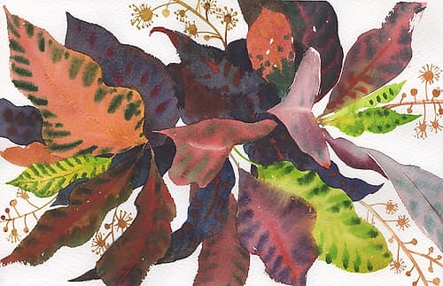 Leaves Nature Print