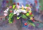 Blooming Cherry Art Print