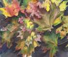 Autumn Leaves Art Print