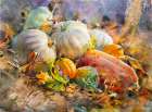 Still Life With Pumpkins Kitchen Print