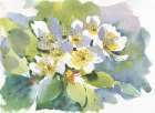 Cherry Branch Art Print