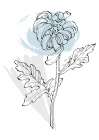 Peonies Flowers Abstract. Plant Art Minimal Art Print