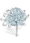 Scandinavian Art Peonies Abstract Flower Art Print