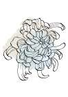 Peonies Flowers Abstract. Plant Art Minimal Art Print
