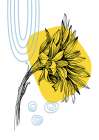 Sunflower Art Print