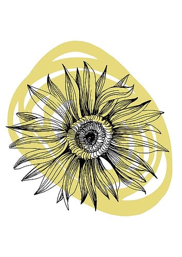 Sunflower Art Print