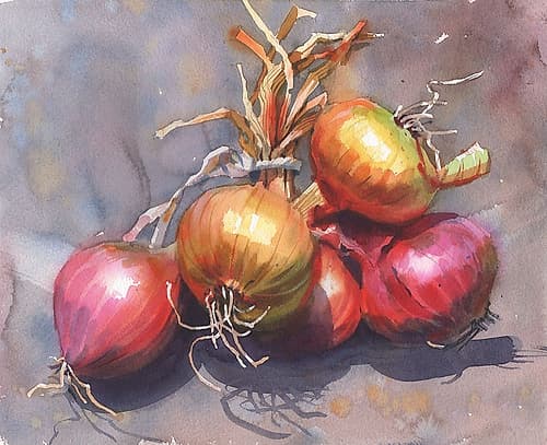 Still Life Onion Art Print