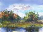 River in the forest Art Print