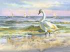 Sea and birds Art Print