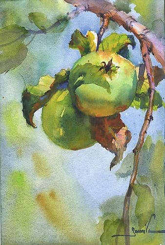 Apples on a branch Nature Print