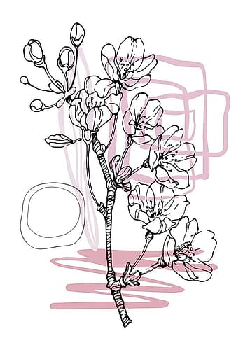 Sakura 6 Art Print by AcantStudio