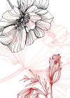 Poppy modern Art Print