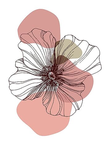 Poppies Art Print