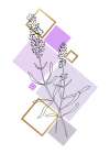 Lavender 5 Art Print