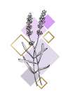 Lavender 7 Art Print