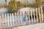 Dune Fences I Art Print