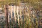 Dune Fences II Art Print