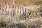 Dune Fences III Art Print