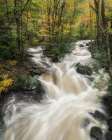 High Water Art Print