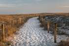 Beach Tracks Art Print