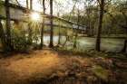 Swann Bridge IV Art Print