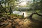 Swann Bridge VI Art Print