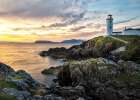 Irish Morning III Art Print