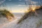 The Dunes Art Print