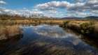 Blackwater Creek Art Print