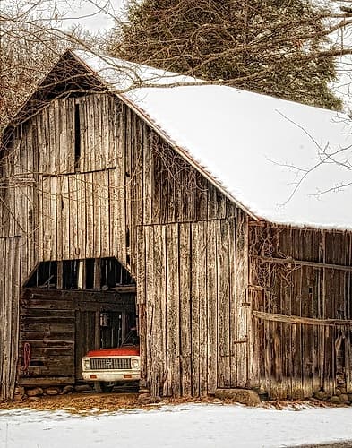 Tucked In Photography Print