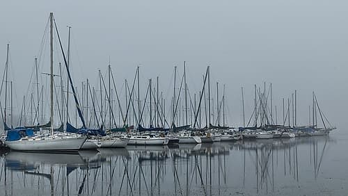 Foggy Marina II Photography Print