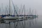 Foggy Marina II Art Print