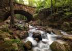 Stone Bridge I Art Print