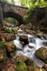 Stone Bridge II Art Print