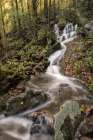 Roadside Falls II Art Print