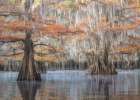 Southern Charm Art Print