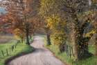 Hyatt Lane III Art Print