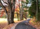 Autumn Drive III Art Print