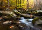 Peaceful Flow II Art Print