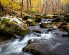 Peaceful Flow III Art Print