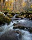 Peaceful Flow IV Art Print