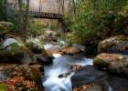 The Bridge II Art Print