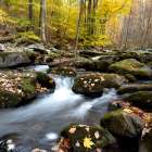 Autumn Rush II Art Print