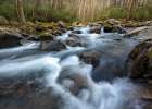 Big Creek I Art Print