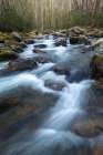 Big Creek III Art Print