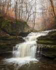 Sauty Creek Falls II Art Print