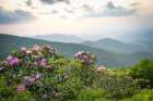 Parkway Spring II Art Print