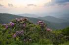 Parkway Spring IV Art Print