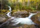 Mouse Creek I Art Print