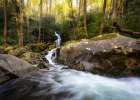 Mouse Creek II Art Print